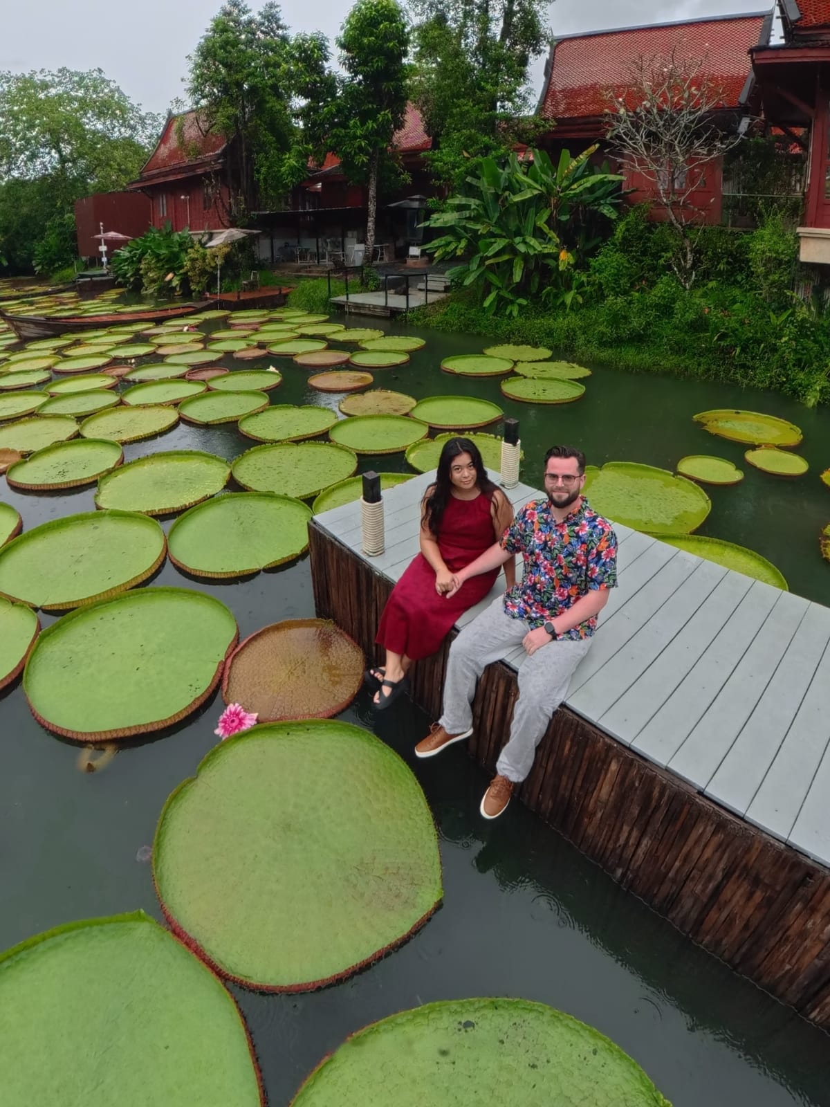 Sitting on a dock among giant lily pads