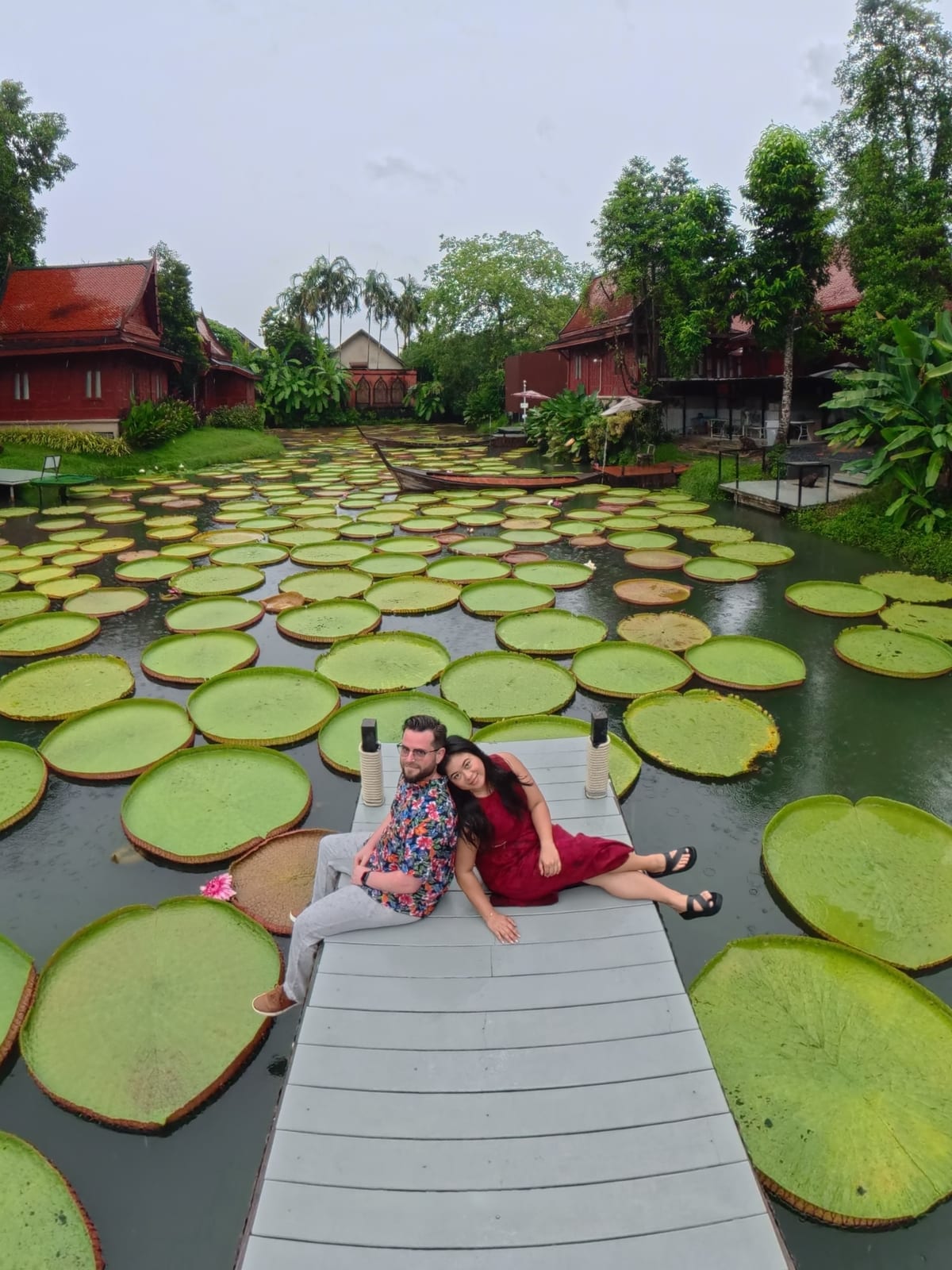 Lying across the dock among the lily pads